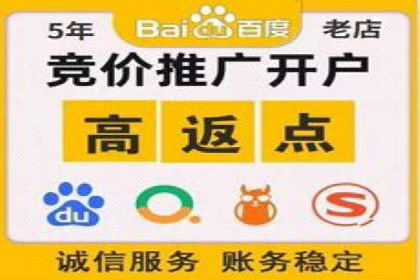 揭秘SEM竞价托管：实战案例深度解析